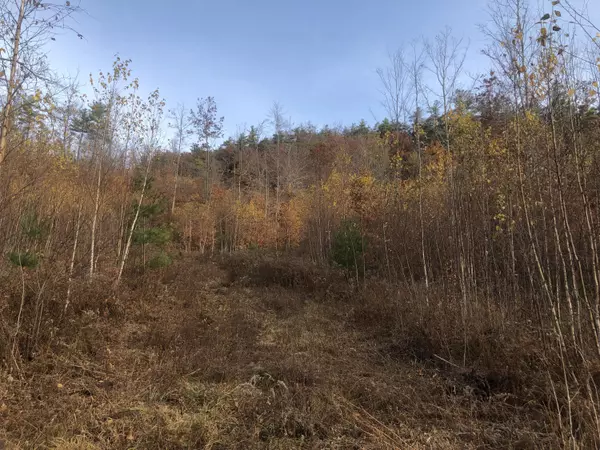 Parsonsfield, ME 04047,0 Randall Lake RD