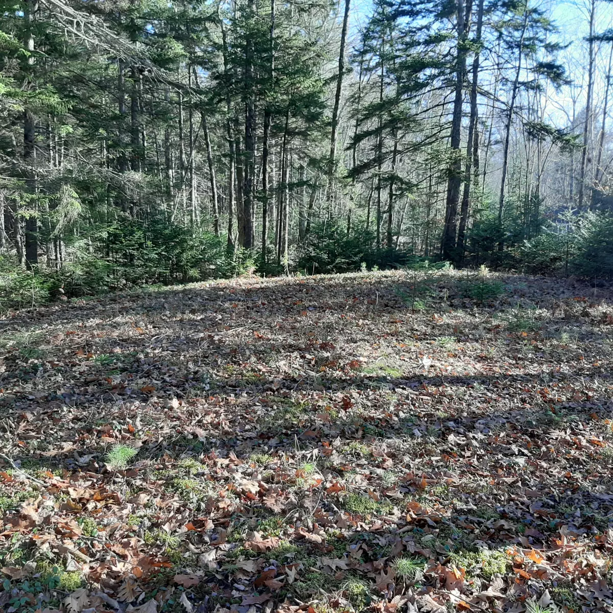 Waldoboro, ME 04572,1349 Manktown RD