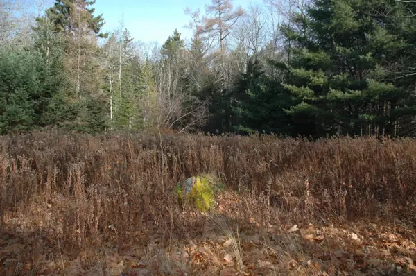 0 Giant Slide Road, Mount Desert, ME 04660