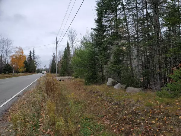 Springfield, ME 04487,Lot 8 Bottle Lake RD