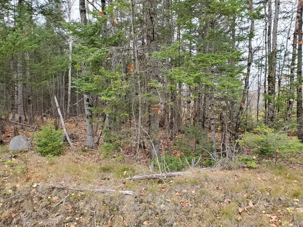 Springfield, ME 04487,Lot 8 Bottle Lake RD