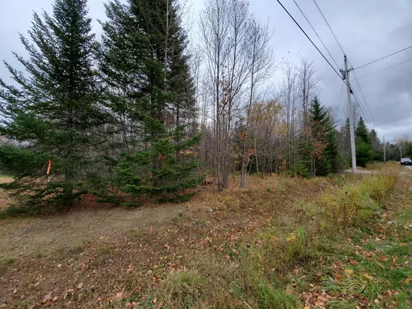 Lot 8 Bottle Lake RD, Springfield, ME 04487