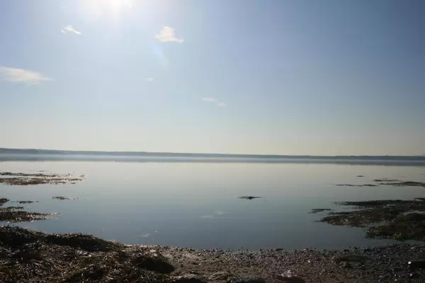 Surry, ME 04684,Lot 4-S2A Carter Farm LN