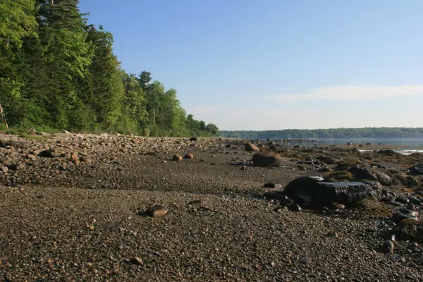 Surry, ME 04684,Lot 4-S2A Carter Farm LN