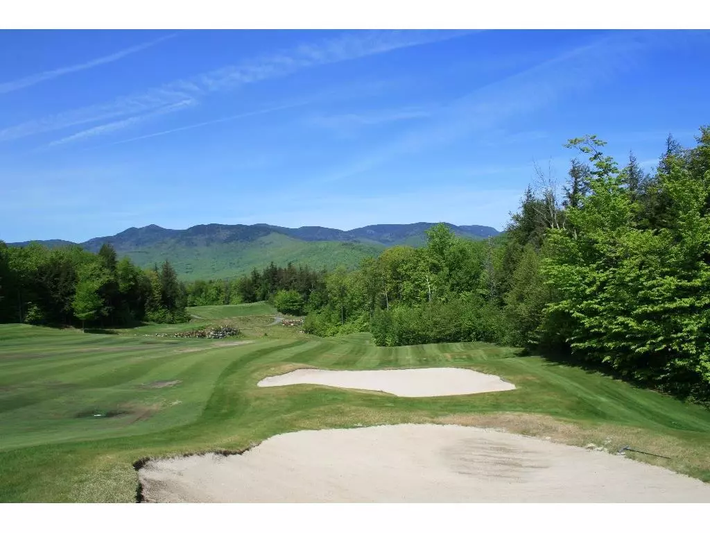 Newry, ME 04261,42 Fairway DR