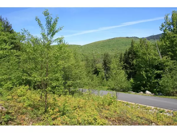 Newry, ME 04261,42 Fairway DR