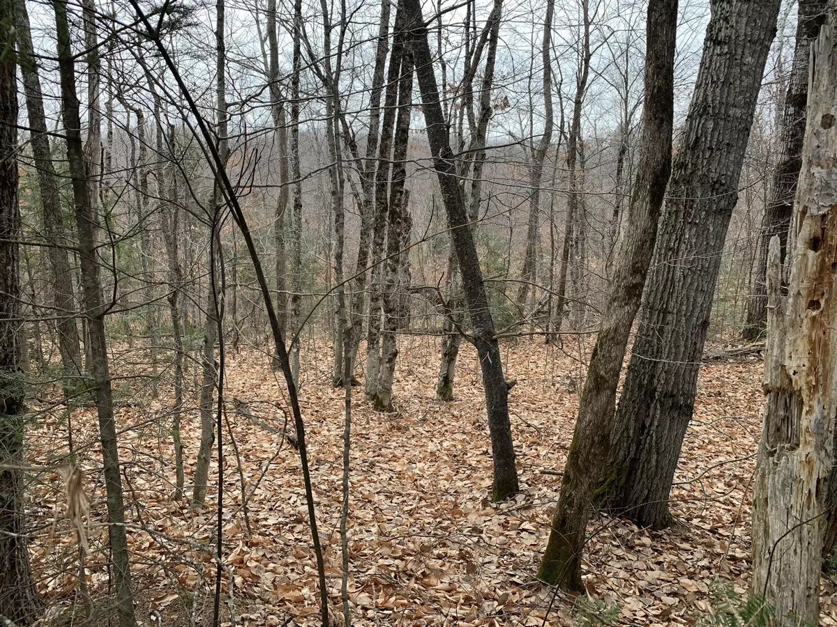 Lee, ME 04455,M6 L5 Skunk Hill