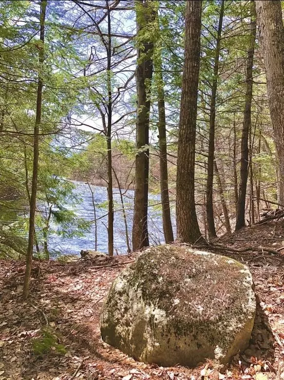 Porter, ME 04068,TBD Ossipee TRL