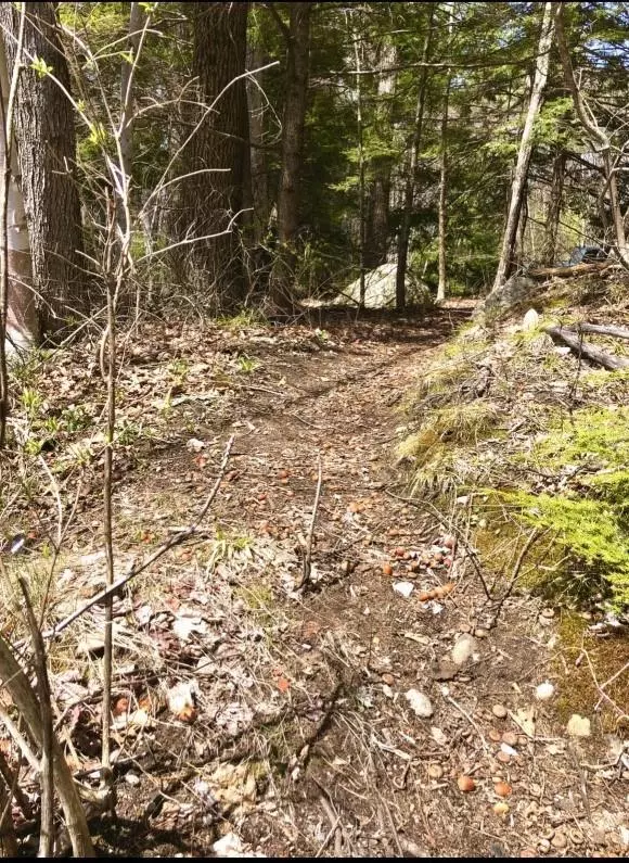 Porter, ME 04068,TBD Ossipee TRL