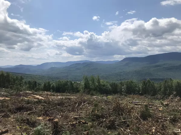 Newry, ME 04261,0 Skyline DR