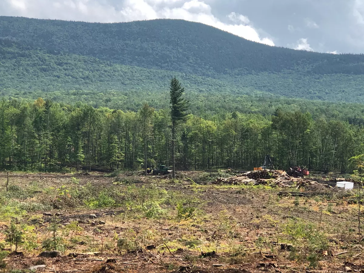 Newry, ME 04261,0 Skyline DR