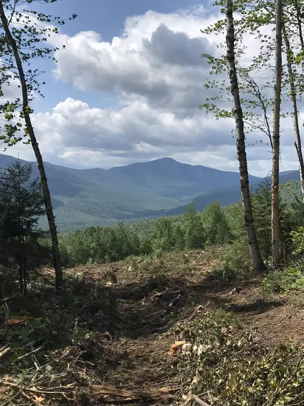 Newry, ME 04261,0 Skyline DR