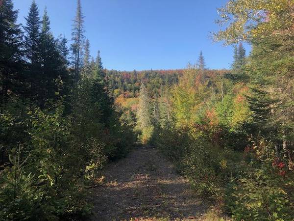 Lot C Main Street, Route 4, Sandy River Plt, ME 04970