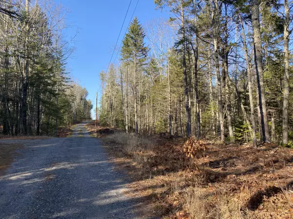 Lot 4 Will Butler Lane, Bremen, ME 04551