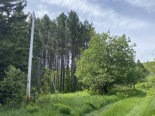 Upton, ME 03579,00 East B Hill Rd.