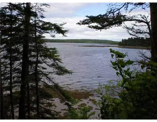 Roque Bluffs, ME 04654,Lot 69 Chambers Point RD