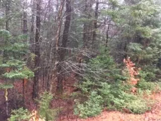 Greenwood, ME 04255,00 Greenwood RD