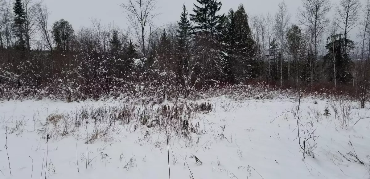 Grand Isle, ME 04746,115 Cyr RD