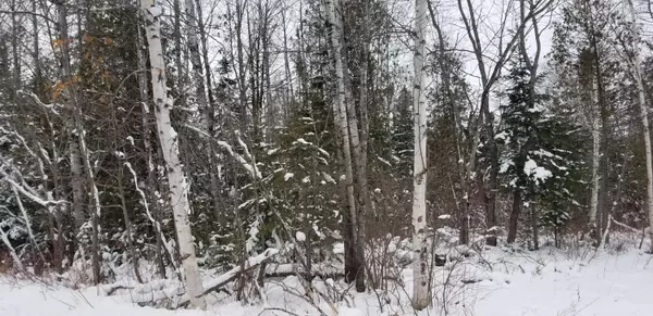 Grand Isle, ME 04746,115 Cyr RD