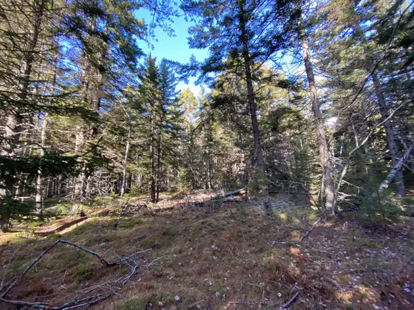 Southwest Harbor, ME 04679,0 Seawall RD