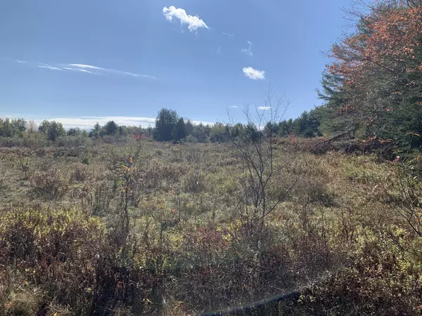 Kingfield, ME 04947,128 Main ST