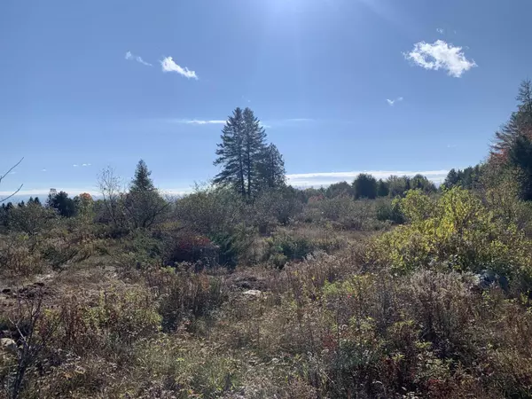 Kingfield, ME 04947,128 Main ST