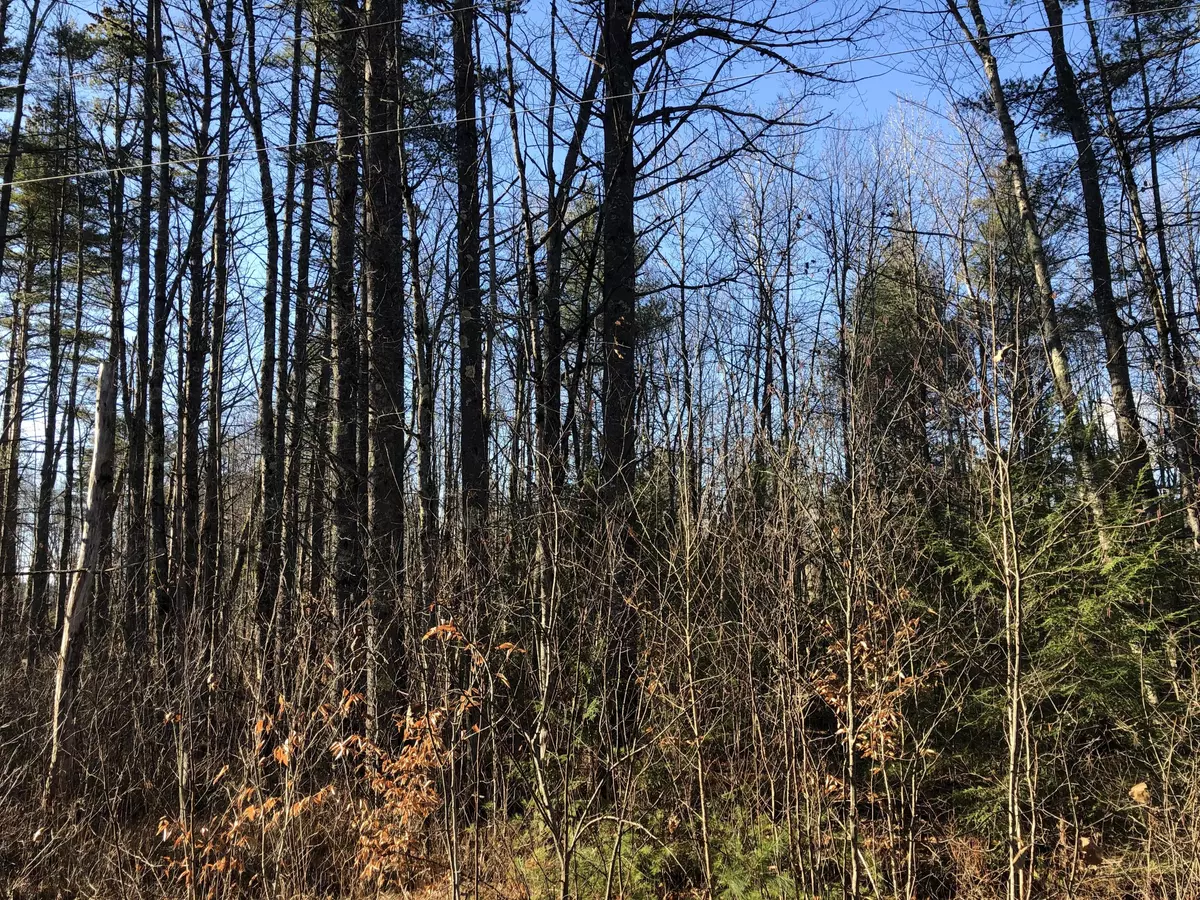 Fryeburg, ME 04037,00 Intervale DR
