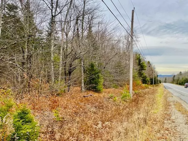 Stockton Springs, ME 04981,00 Bangor RD