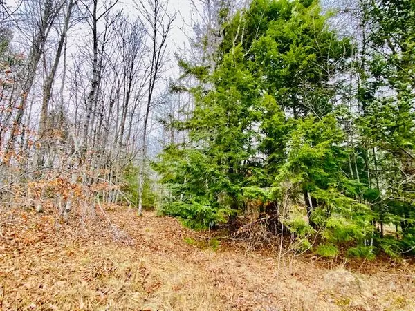 Stockton Springs, ME 04981,00 Bangor RD