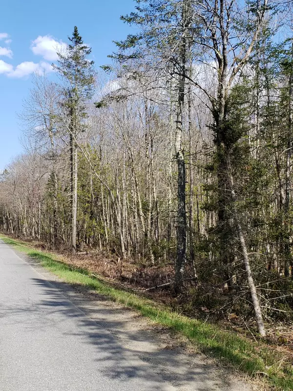 Newport, ME 04953,0 County Woods RD