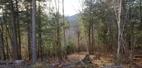 TBD West Side Road, Carthage, ME 04224