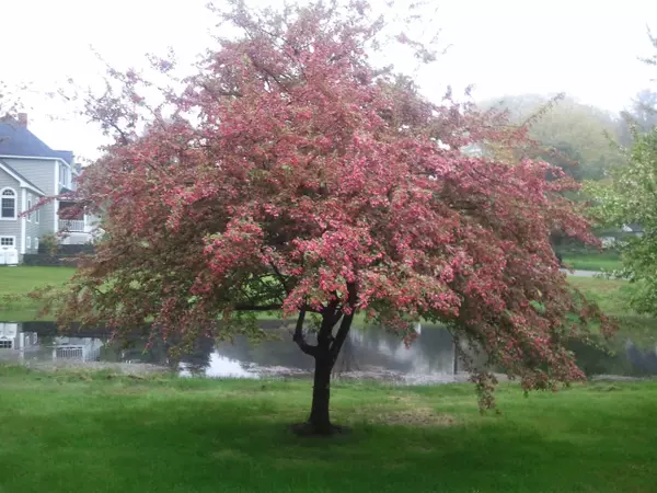 Topsham, ME 04086,15 Twin Pond RD