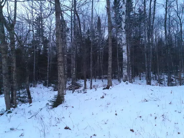 TBD Fish Hatchery Road, Phillips, ME 04966
