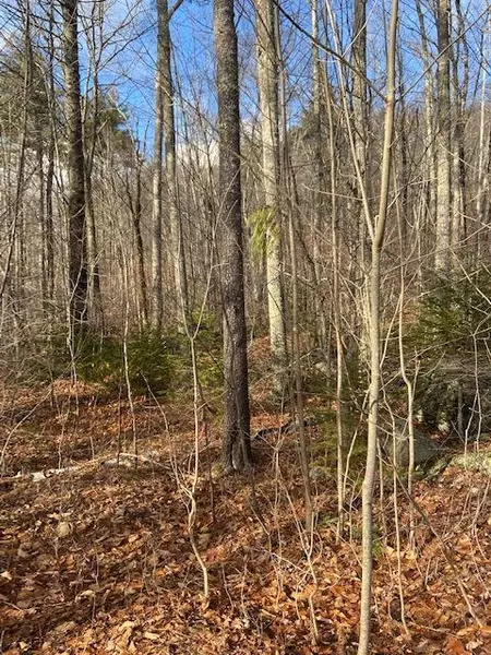 Lot 7 Tamarack TRL, Camden, ME 04843