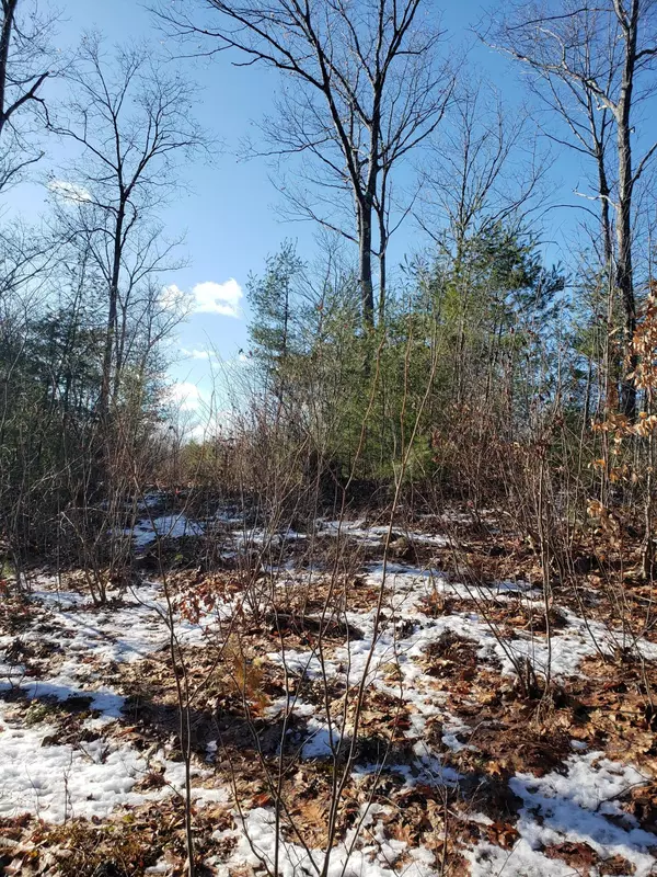 Lyman, ME 04002,TBD S. Waterboro Road/Brock RD