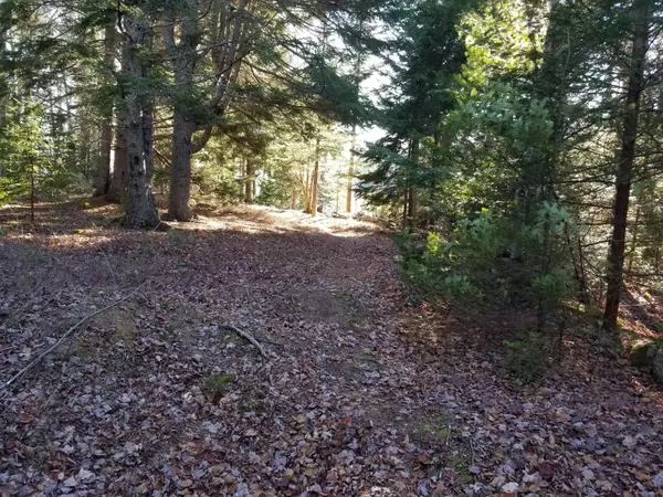 Steuben, ME 04680,Lot 14 Schooner Point Drive E DR