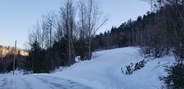 Bethel, ME 04217,TBD Nevel RD