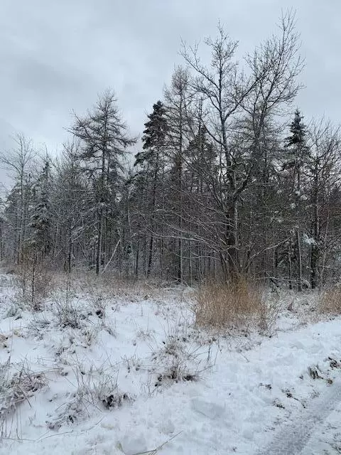 Marshfield, ME 04654,0 Marshfield Flats RD