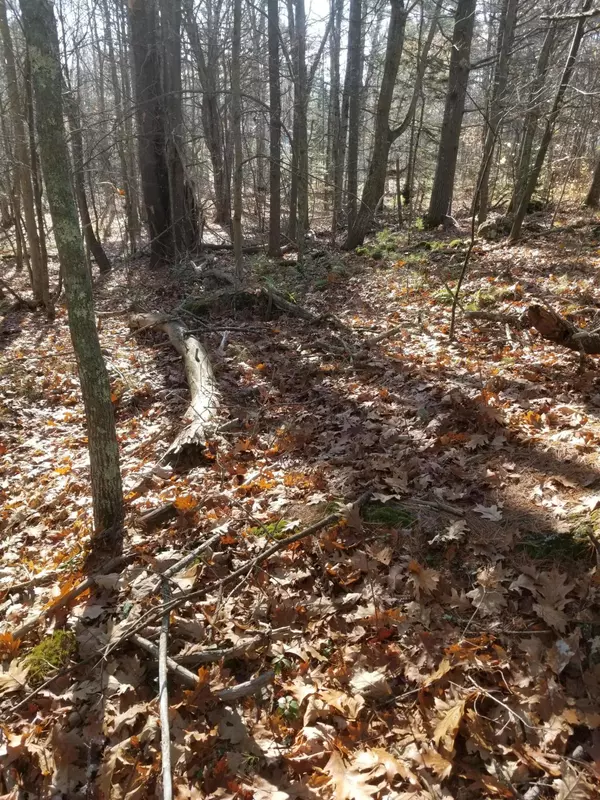 Westport Island, ME 04578,14.03 Main RD