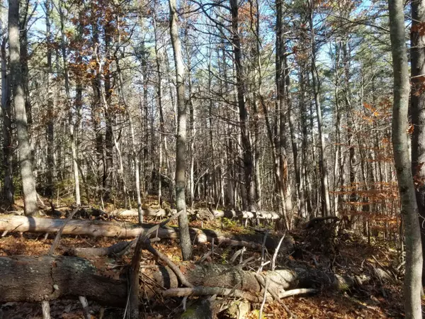 Westport Island, ME 04578,14.03 Main RD