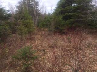 Carroll Plt, ME 04487,000 North RD