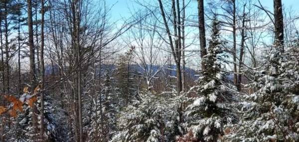 Lot 0001 Naples RD, Harrison, ME 04040