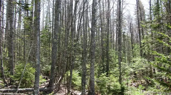 Sedgwick, ME 04676,Lot 21-2a Off Cooper Farm RD