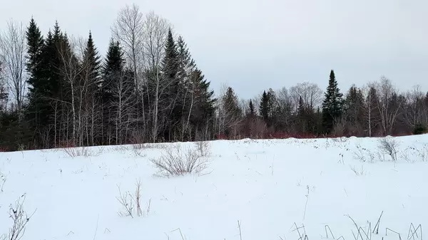 New Limerick, ME 04761,Lot 7 Pleasant LN