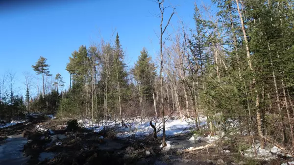 Pittston, ME 04345,0 Parker RD