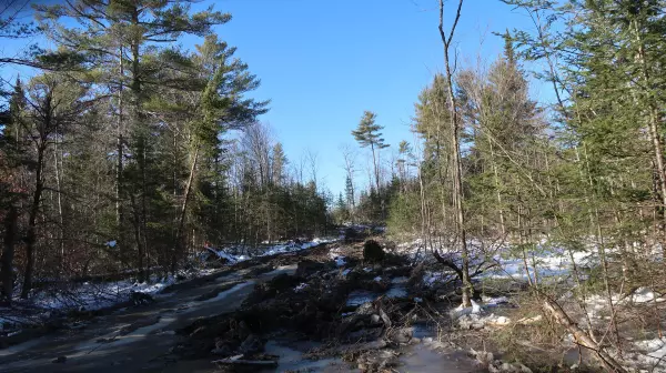 Pittston, ME 04345,0 Parker RD