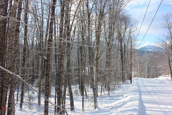 Carrabassett Valley, ME 04947,2004 Birch Trail RD