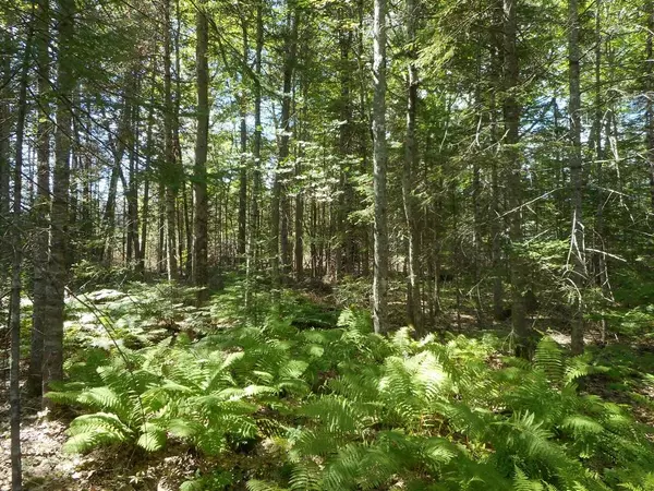 Orono, ME 04473,Lot 1 Stillwater AVE