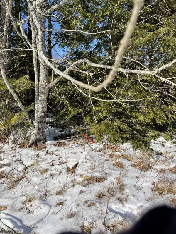 Mariaville, ME 04605,Map6Lot52A Mariaville RD