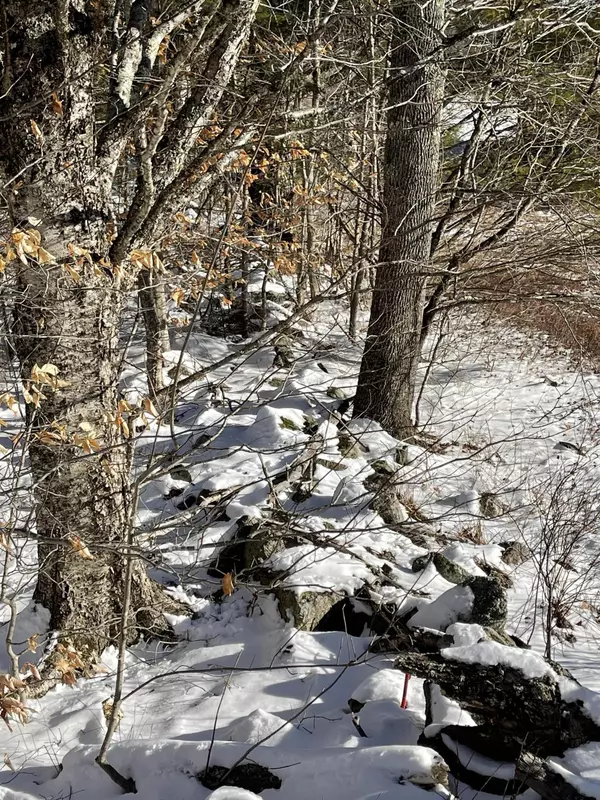 Mariaville, ME 04605,Map6Lot52A Mariaville RD